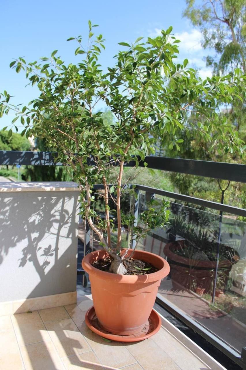 Apartment Belvedere Da Madia Monopoli