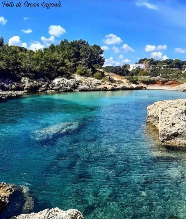 Appartamento Belvedere Da Madia