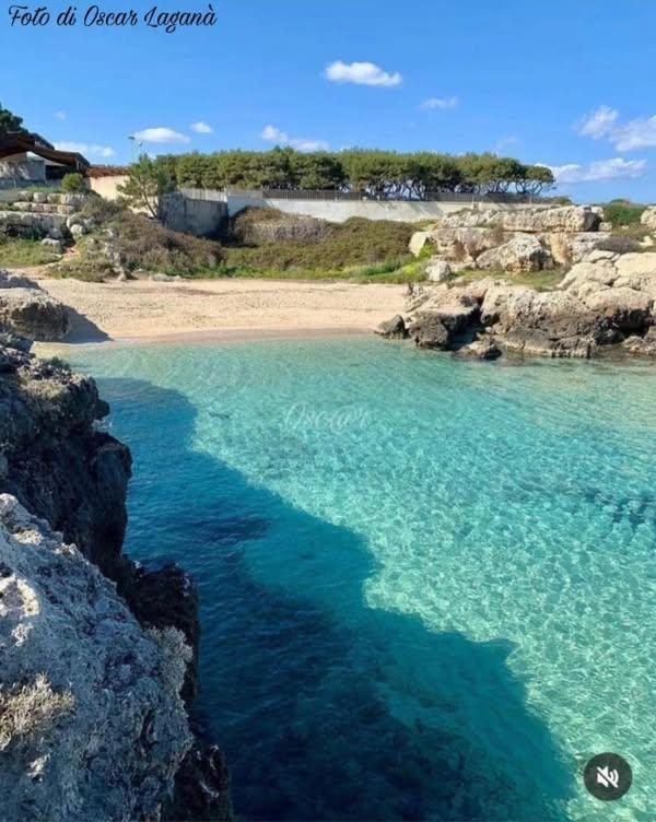 Belvedere Da Madia